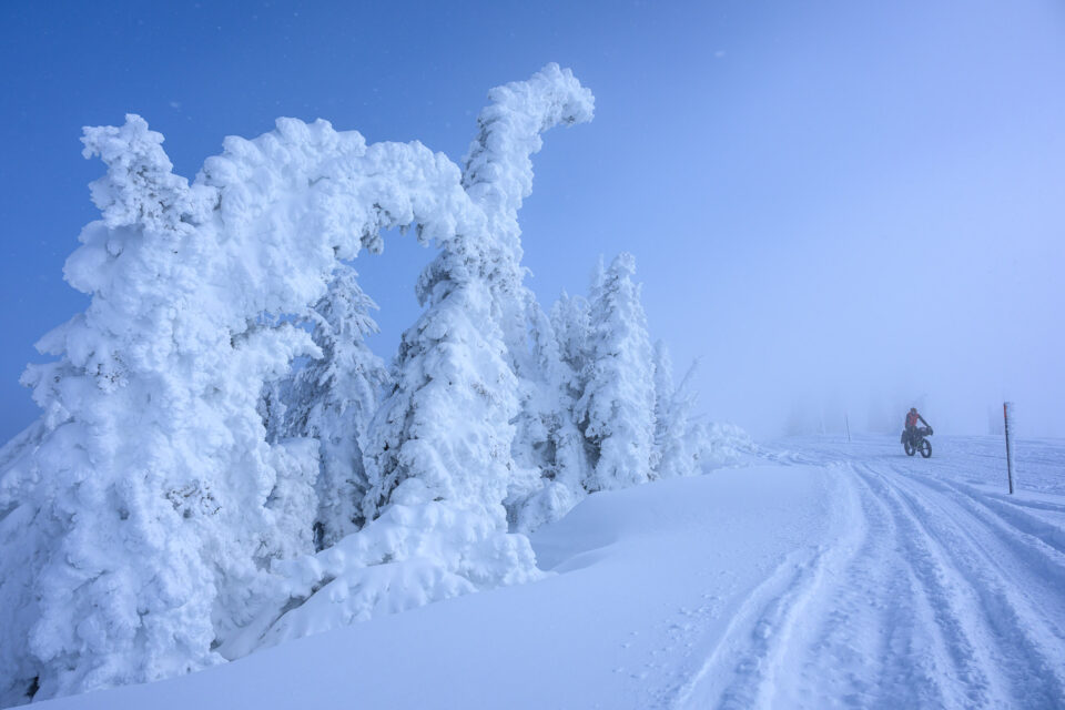 2026 Fat Pursuit: A Winter Odyssey on Bikes, Skis, and Foot