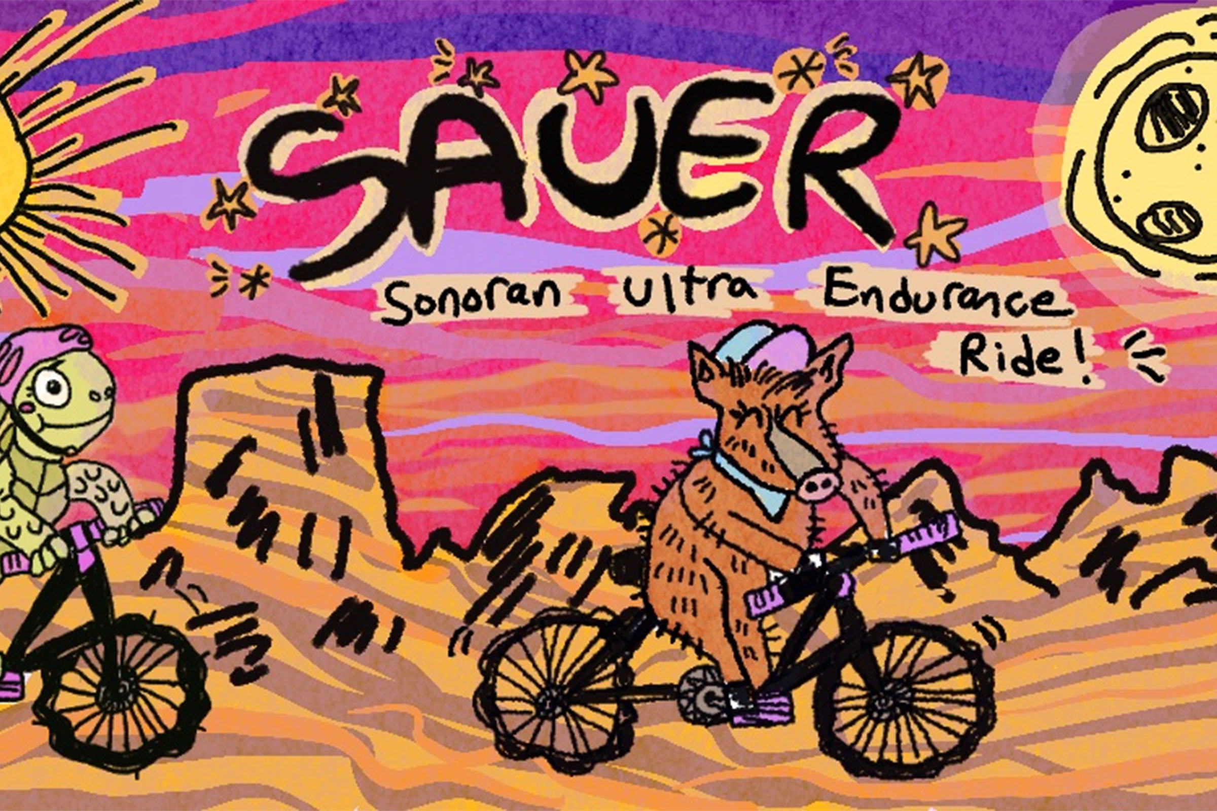 sauer 2026
